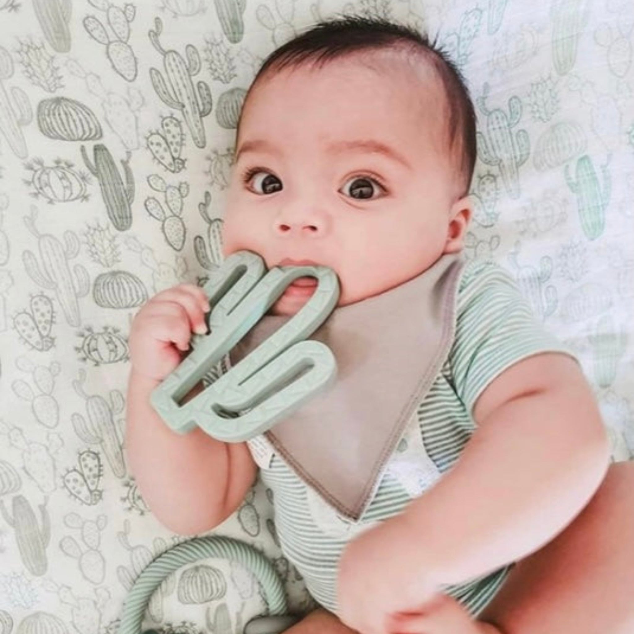 Chew Crew | Silicone Baby Teethers