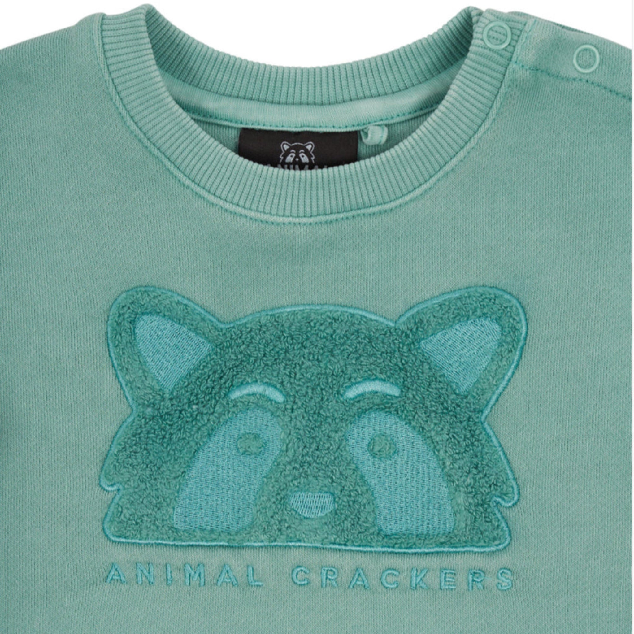 Raffael Crew Sweat Top and pants combo Mint- Animal Crackers