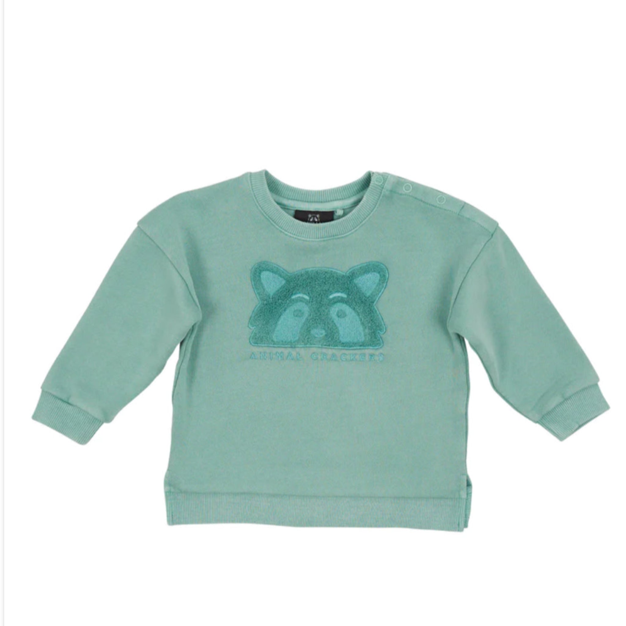 Raffael Crew Sweat Top and pants combo Mint- Animal Crackers