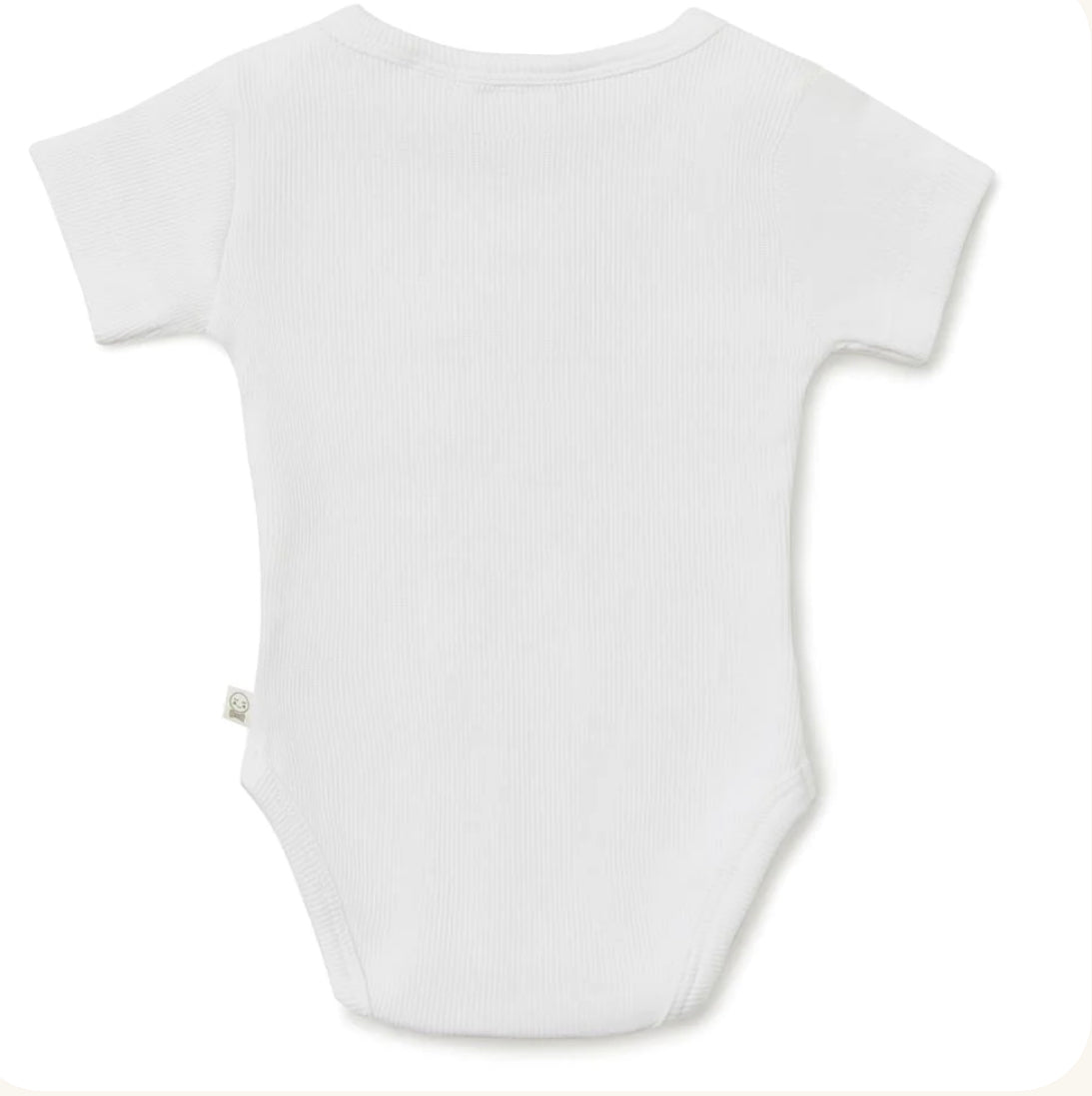 Milk short Sleeve Bodysuit- Snuggle Hunny