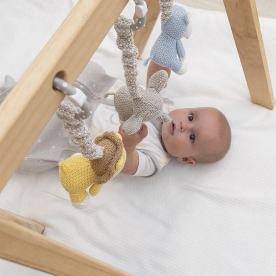 Zebra and Lion Stroller Toys-Living Textiles